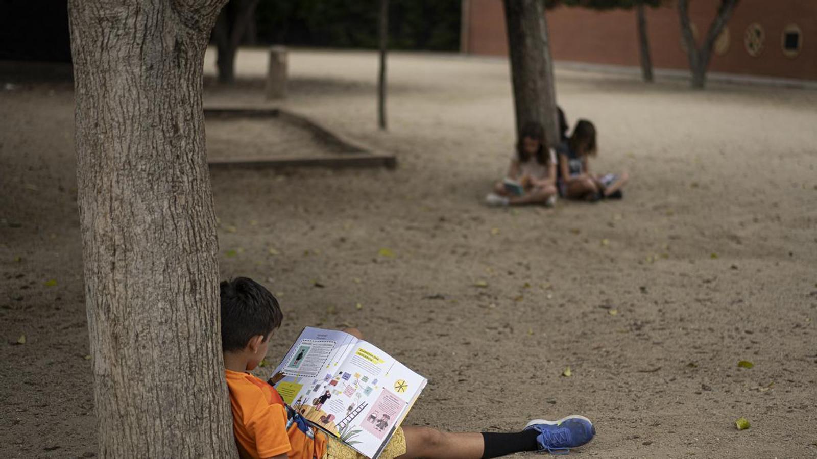 Nenns reading in the patio.