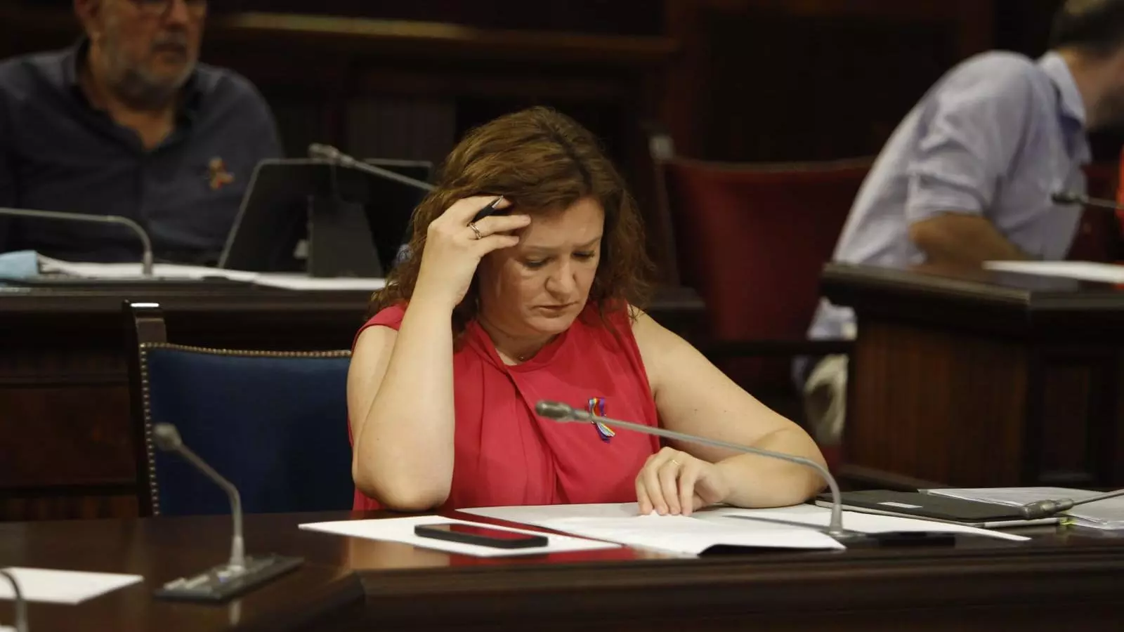 La consellera Mercedes Garrido al Parlament, aquest dimarts.
