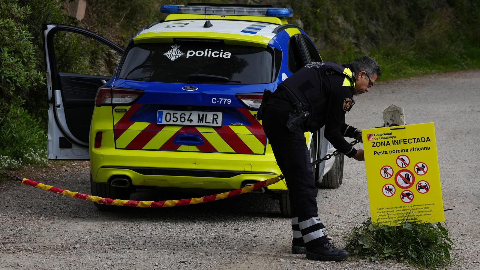 Agentes de la Guardia Urbana colocan carteles informando del cierre del acceso al Parque de Collserola que quedará prohibido a la ciudadanía, con algunas excepciones, desde este jueves y de forma indefinida, hasta que se logre reducir al mínimo posible la población de jabalíes que habita por la zona.