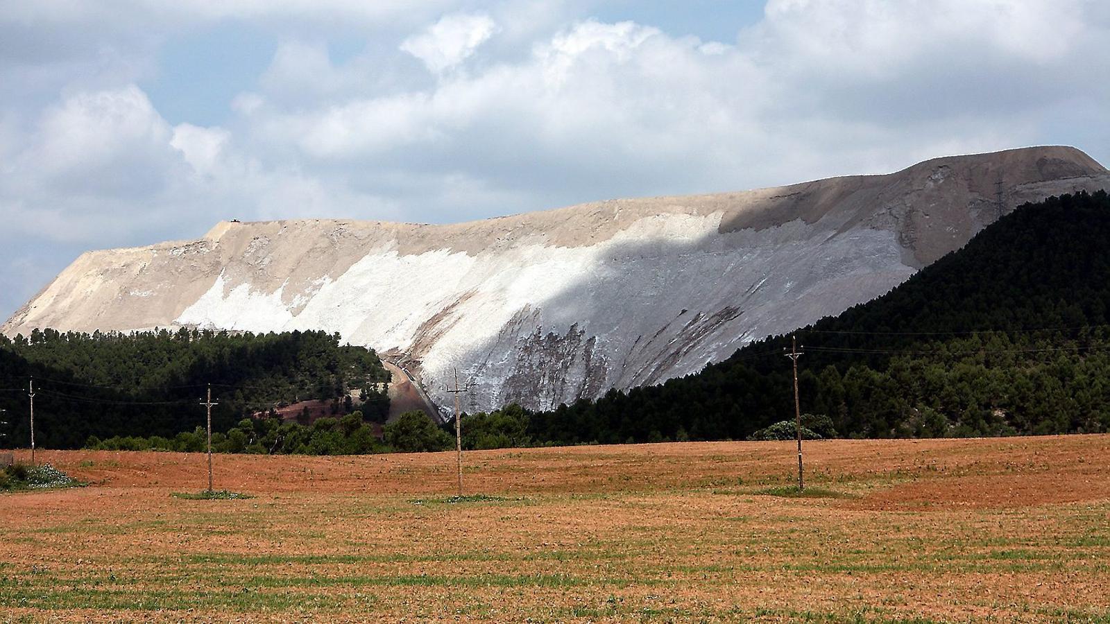 Iberpotash relleva de manera sobtada la cúpula de l’empresa