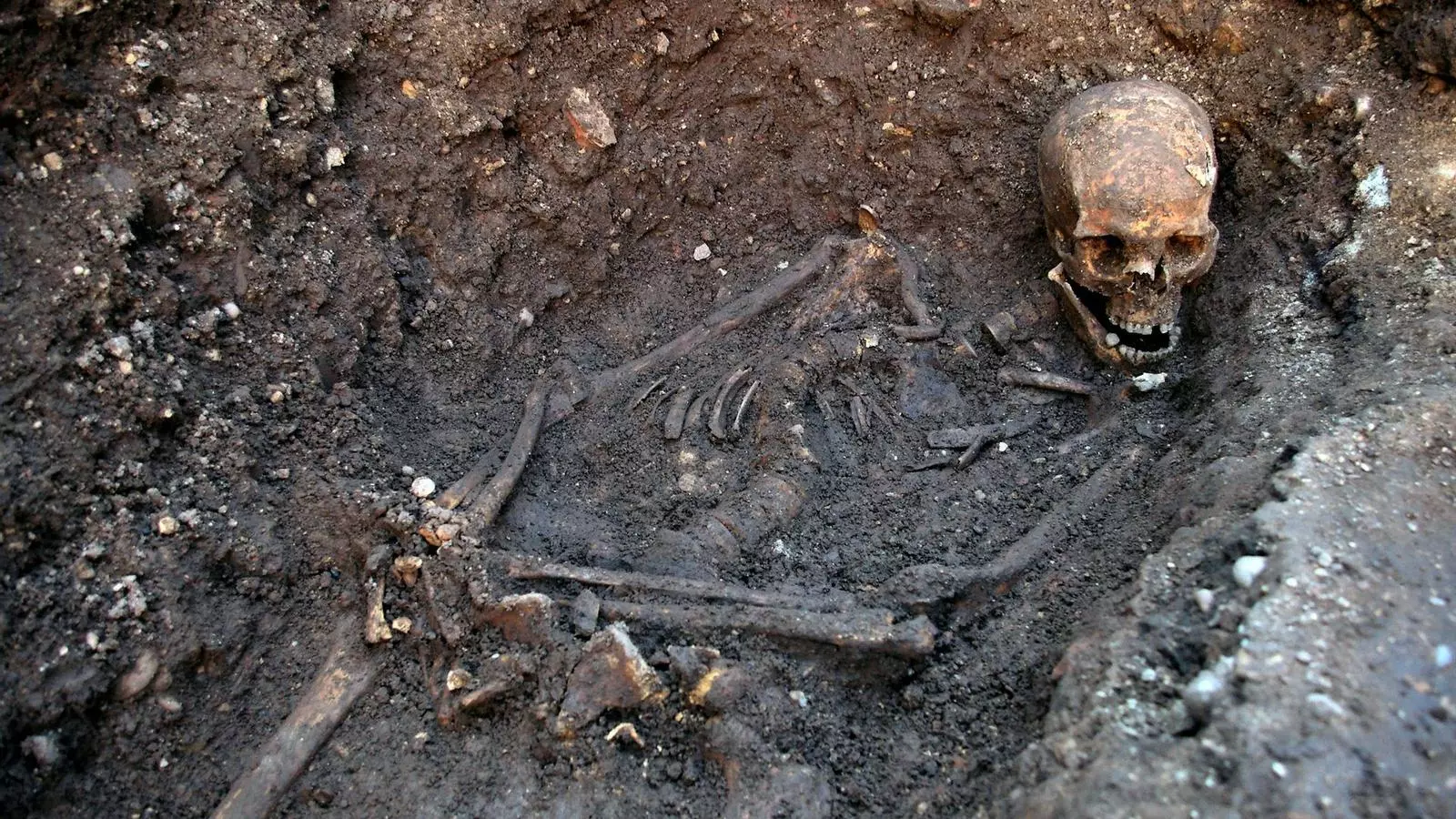 Les restes de Ricard III descansaven sota un pàrquing