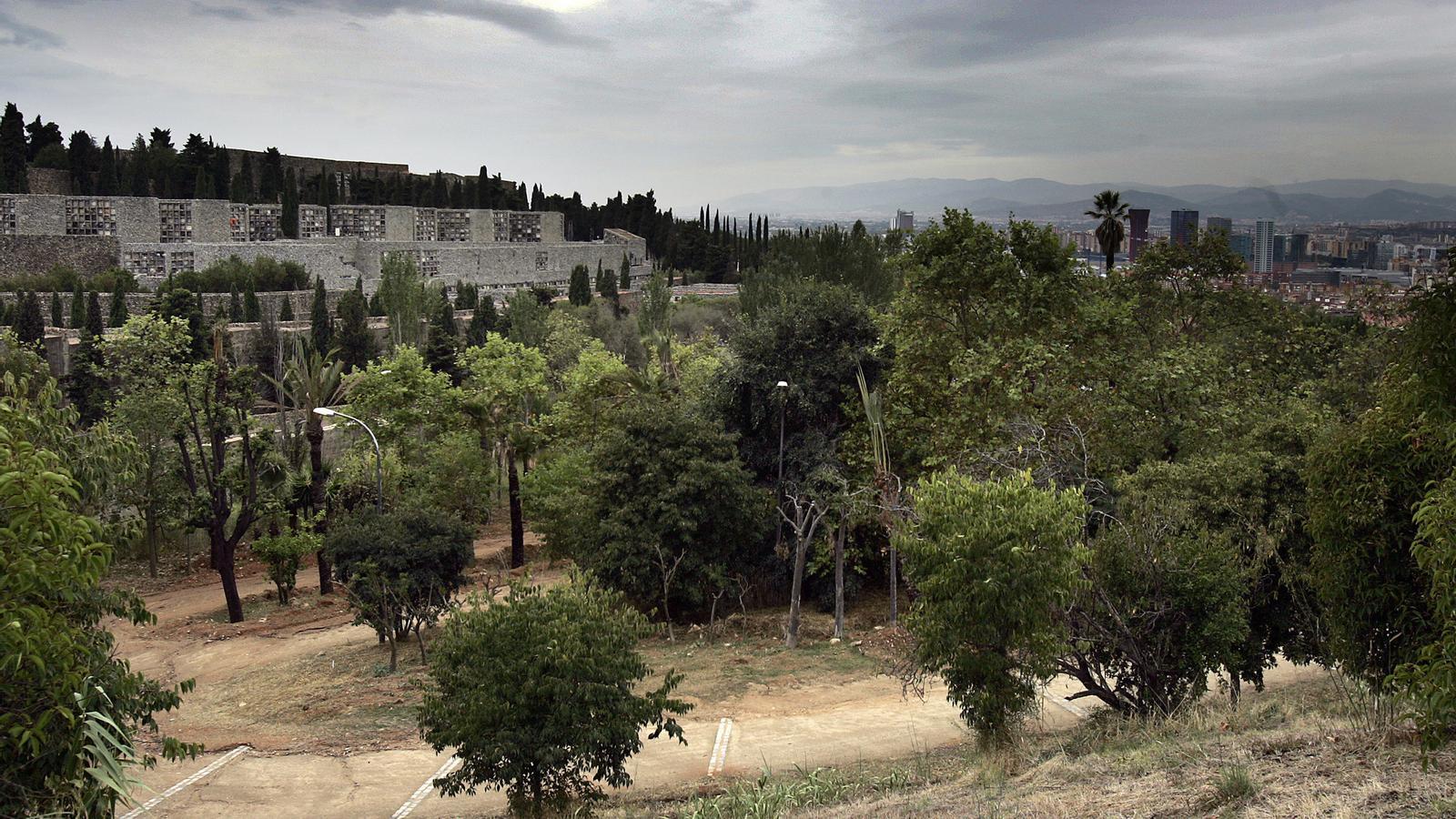 L'espai on s'ha de construir el nou Parc d'Acollida d'Animals de Companyia, a Montjuïc.