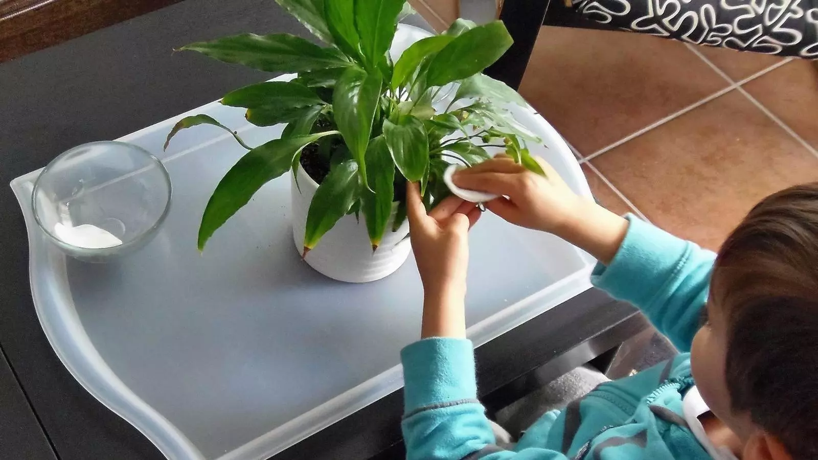 Llibertat Amb Límits Qui va ser Maria Montessori?