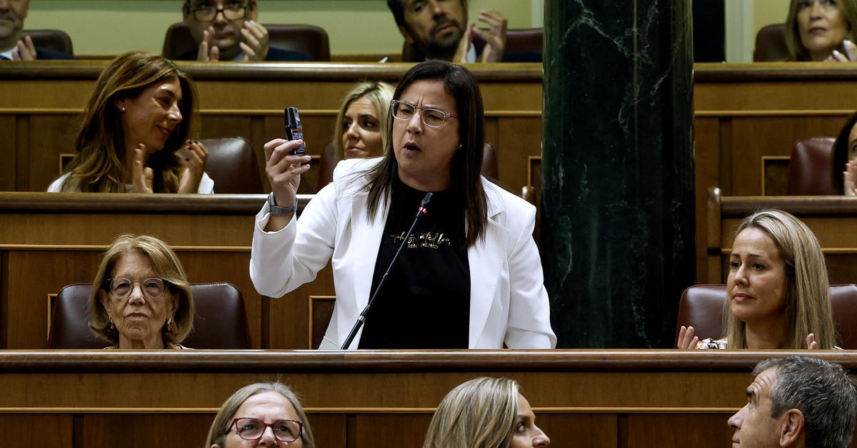 La diputada gallega que provocó el caos con el gas pimienta (y que viene mucho a Cataluña) – Diari ARA
