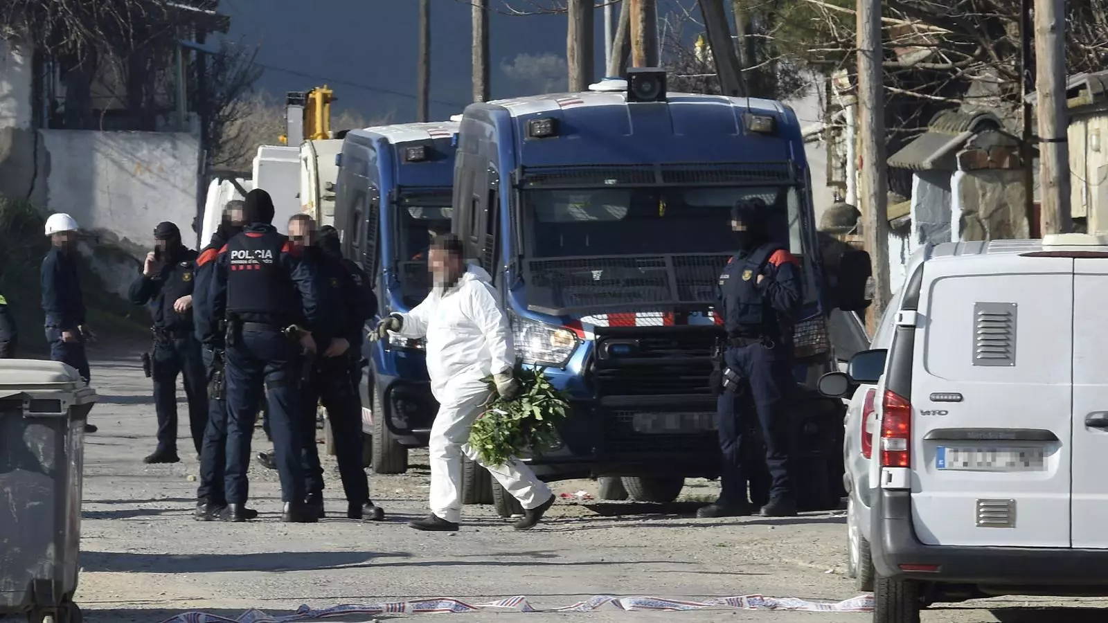 Els Mossos d’Esquadra van decomissar prop de 50.000 plantes de marihuana a la demarcació de Lleida al llarg de l’any 2021.