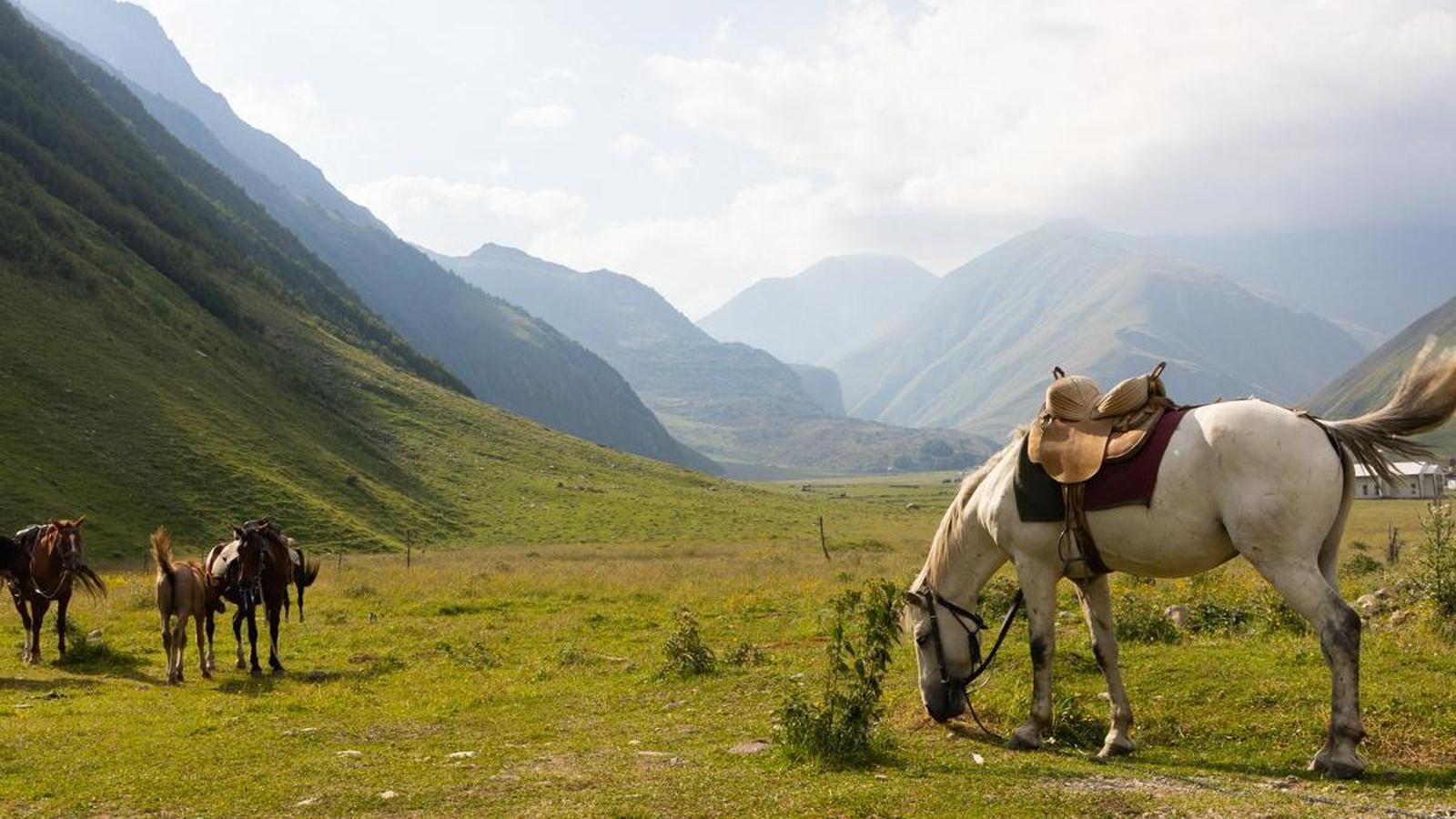 The Truso valley, near Mestia, in the Greater Caucasus of Georgia.