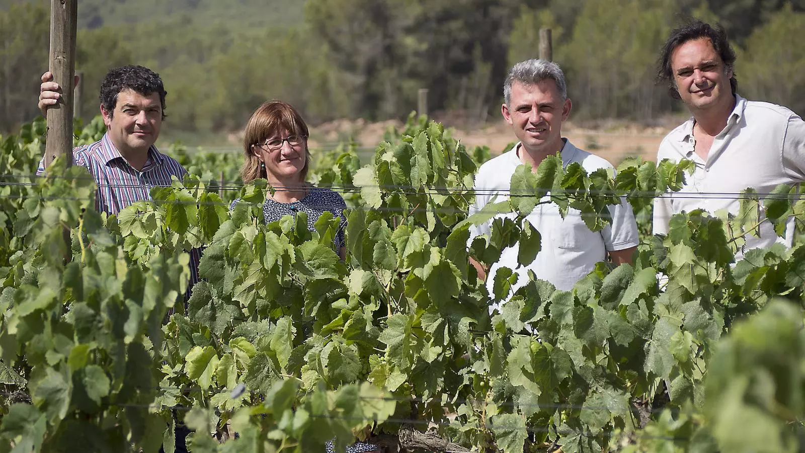 Vins ecològics, vins emocionals