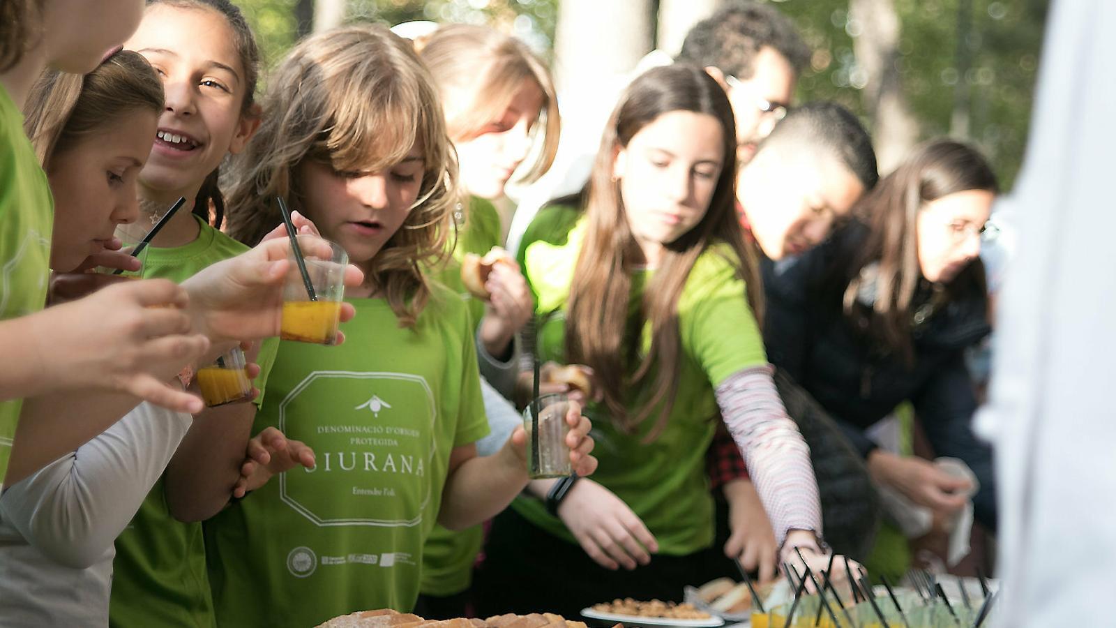 La promoció de l’oli d’oliva verge extra entre els estudiants ha sigut una de les principals activitats organitzades en els últims anys per la DOP Siurana.