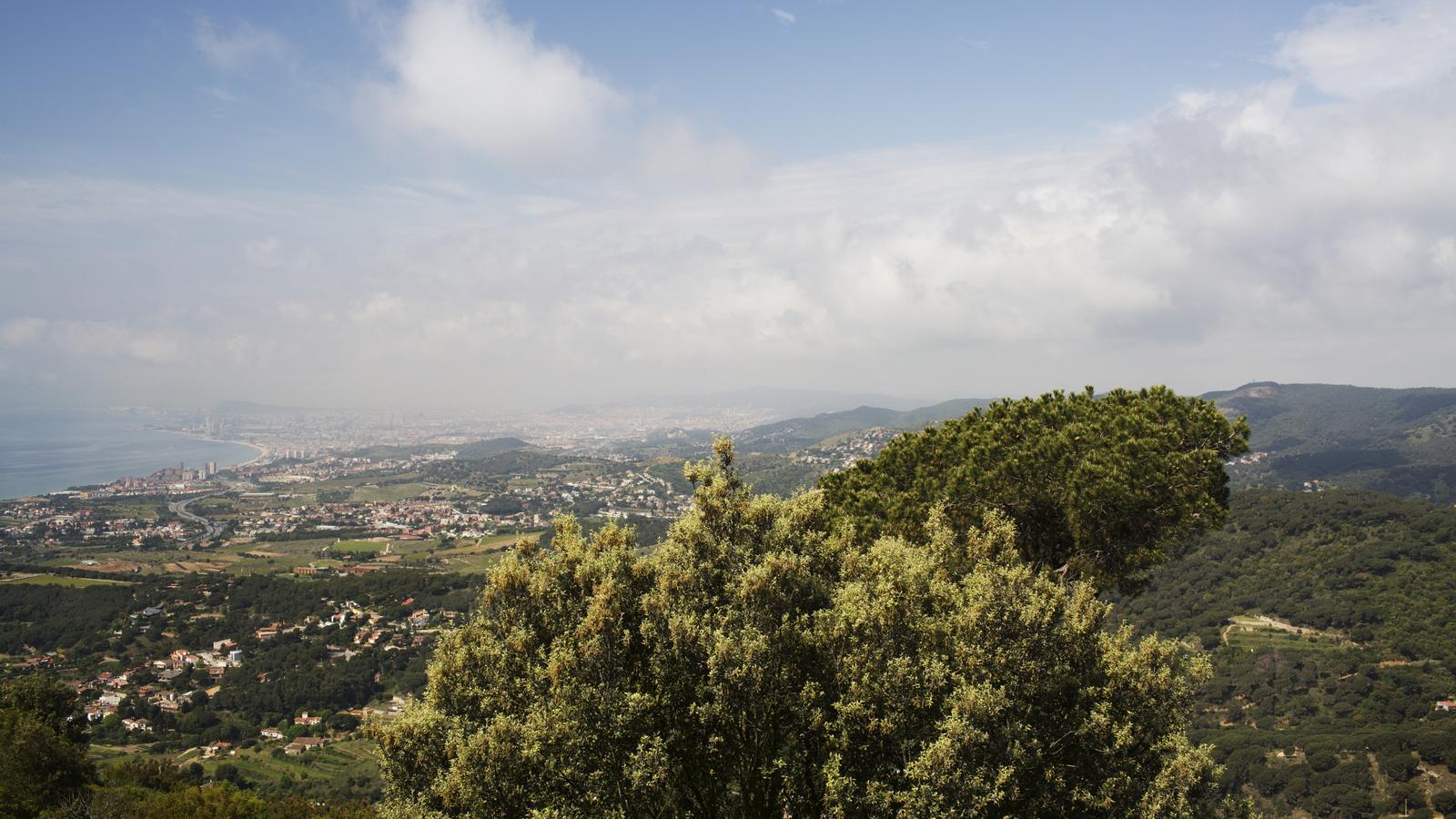 Parc de la Serralada Litoral