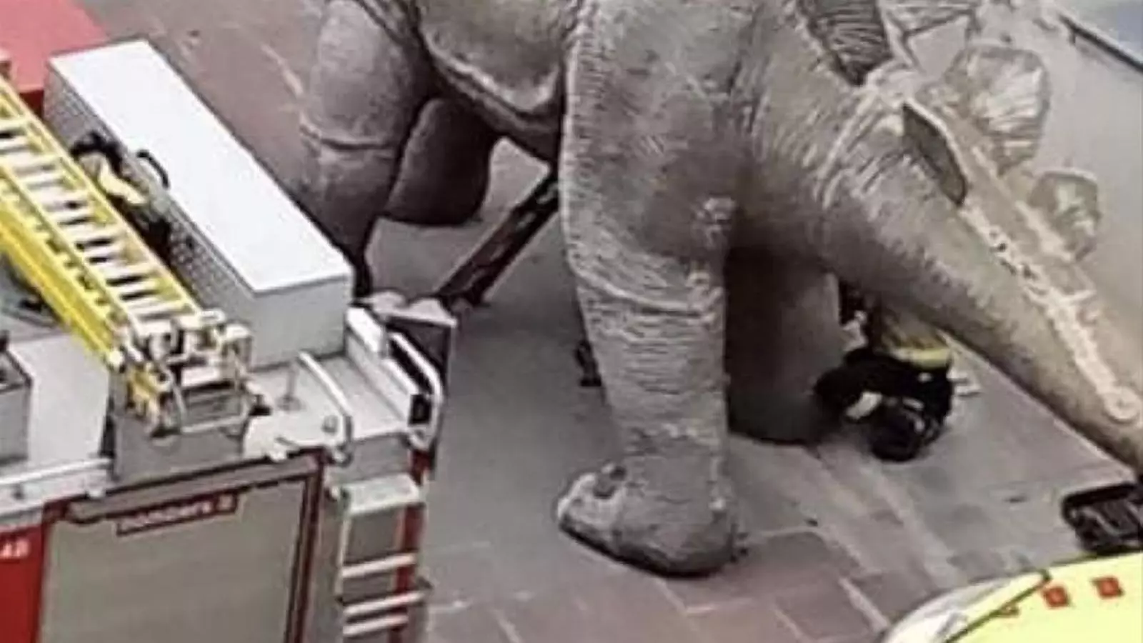 Els equips d'emergències intenten treure el cadàver de l'home trobat mort dins del dinosaure de Santa Coloma
