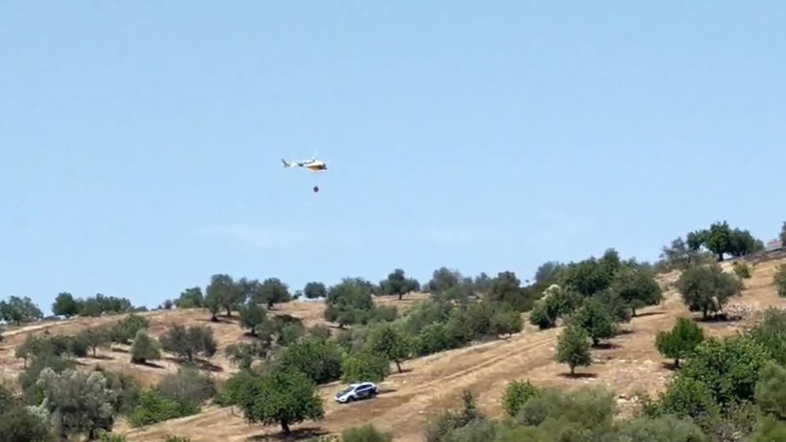 Un momento de la actuación contra el incendio en el Puig de Bonany.