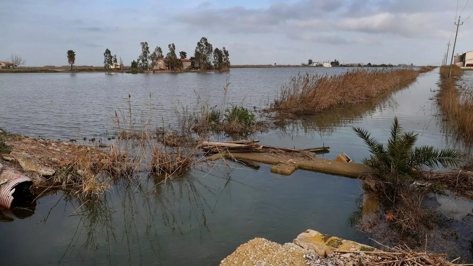 El Delta després del temporal