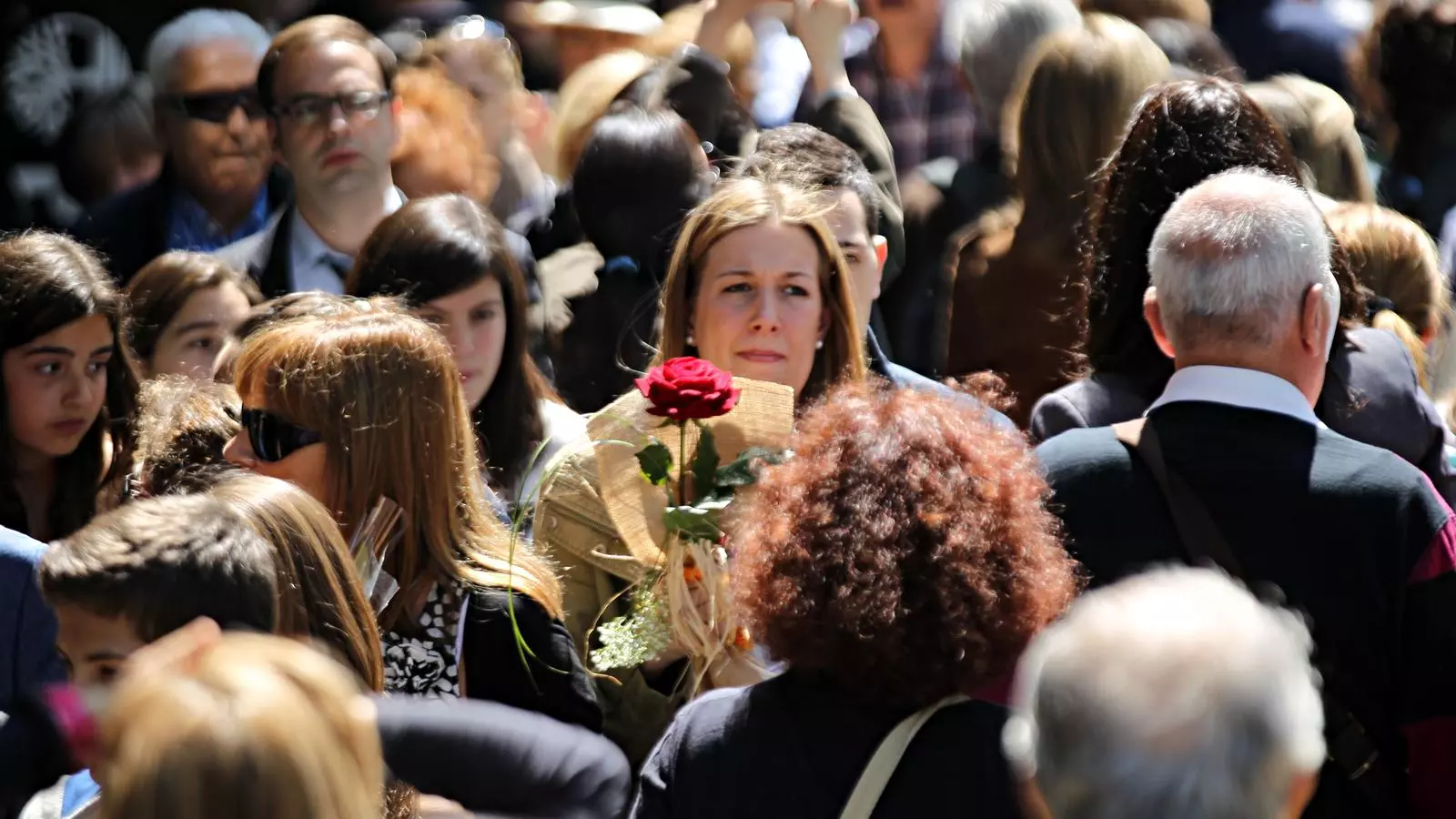 Sant Jordi 2013 / X. BERTRAL