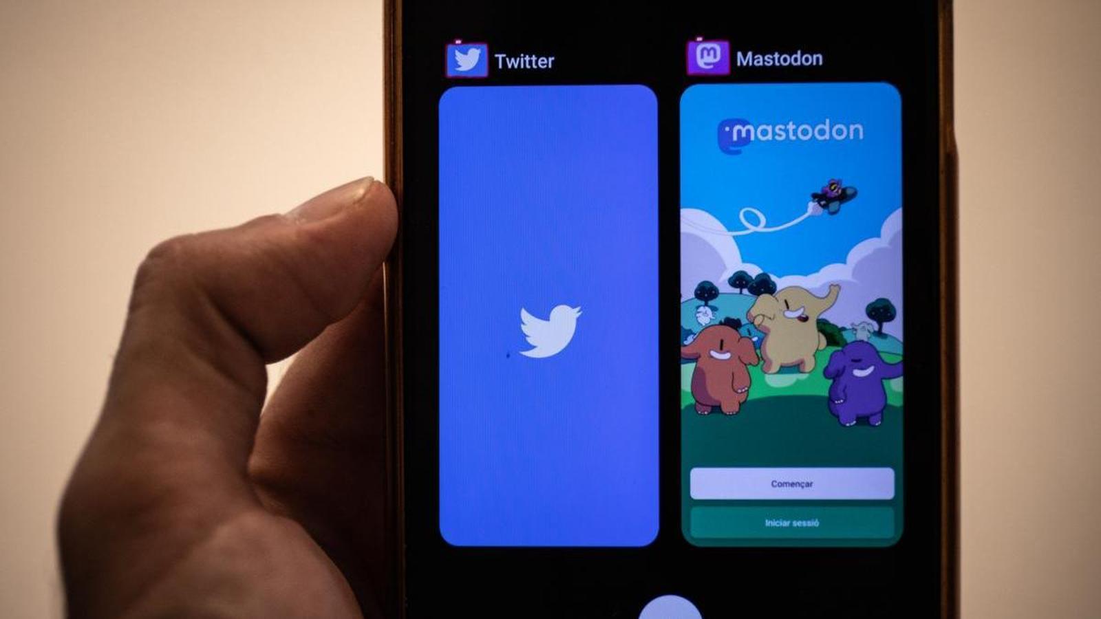 Imatge de Mastodon i Twitter a la pantalla del smartphone. Diari ARA, Víctor Cabo.