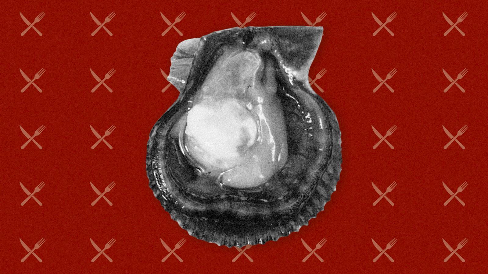 An image of a variegated scallop.