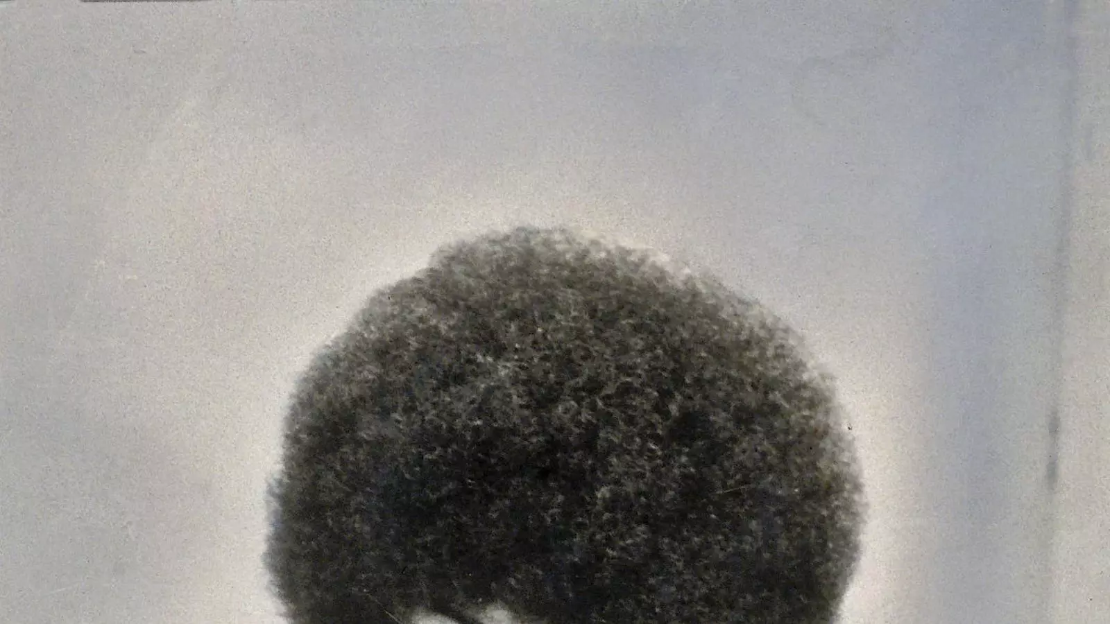 Angela Davis continua sent avui una incansable activista a favor de la igualtat de gèneres, races i classes.