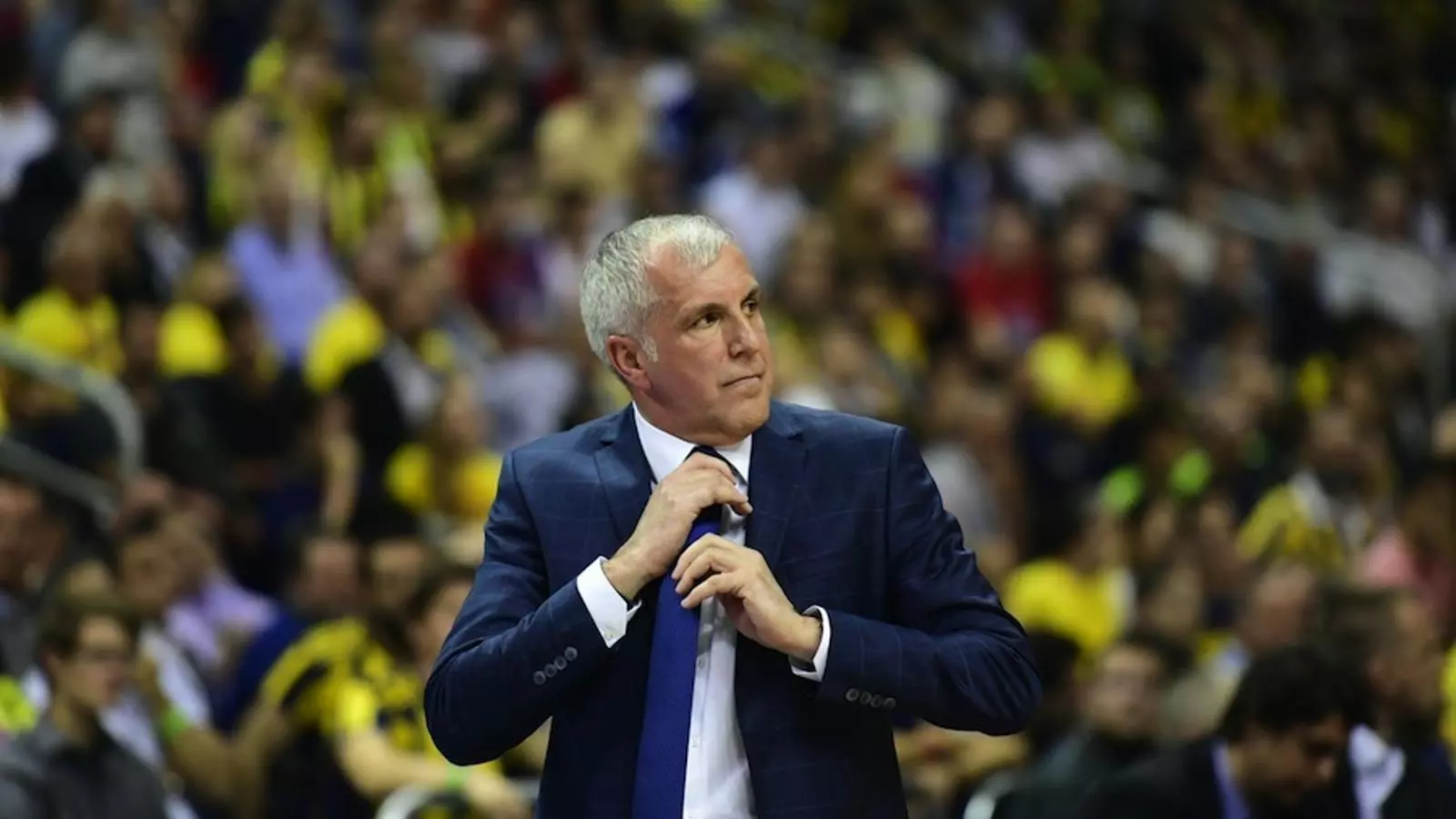 Zeljko Obradovic