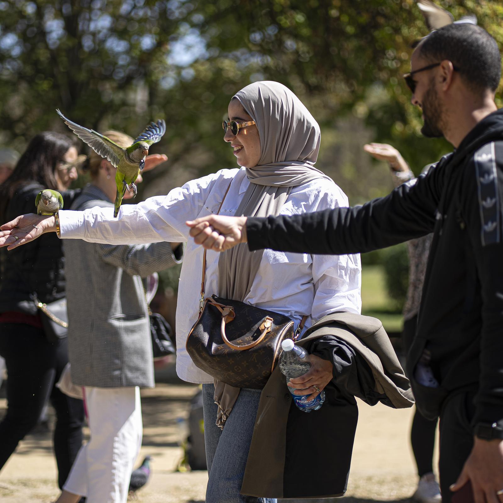 Tourists feeding parrots in Ciutadella Park.