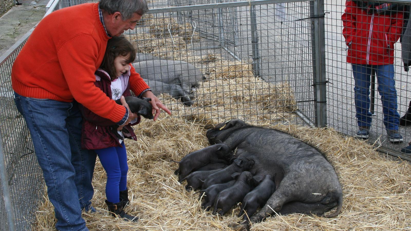 Fira de Santa Margalida