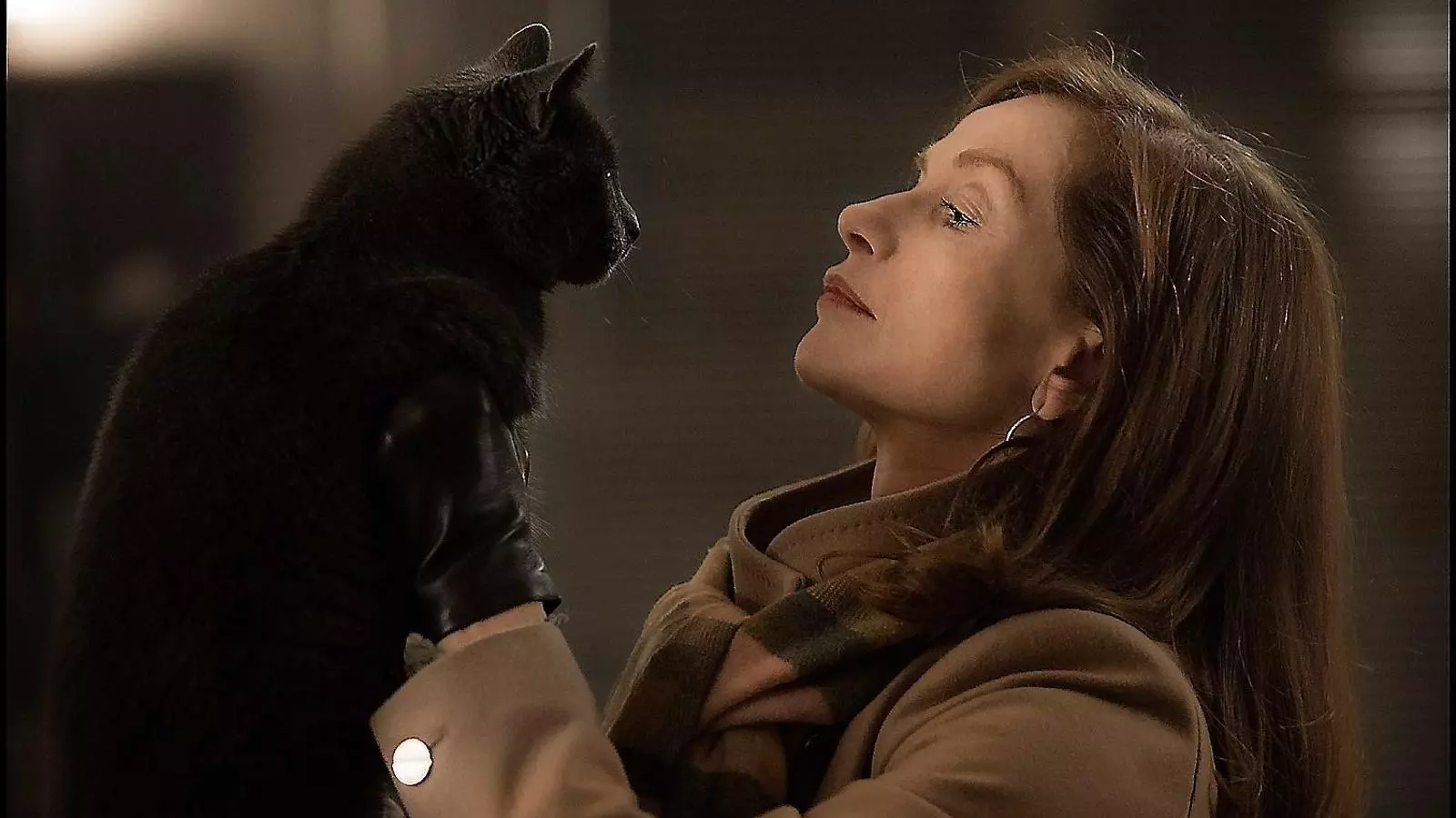 Els 25 millors films del 2016