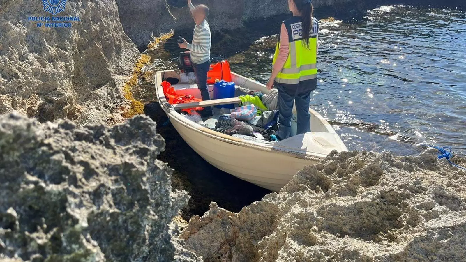 La pastera rescatada en aigües de la Colònia de Sant Jordi