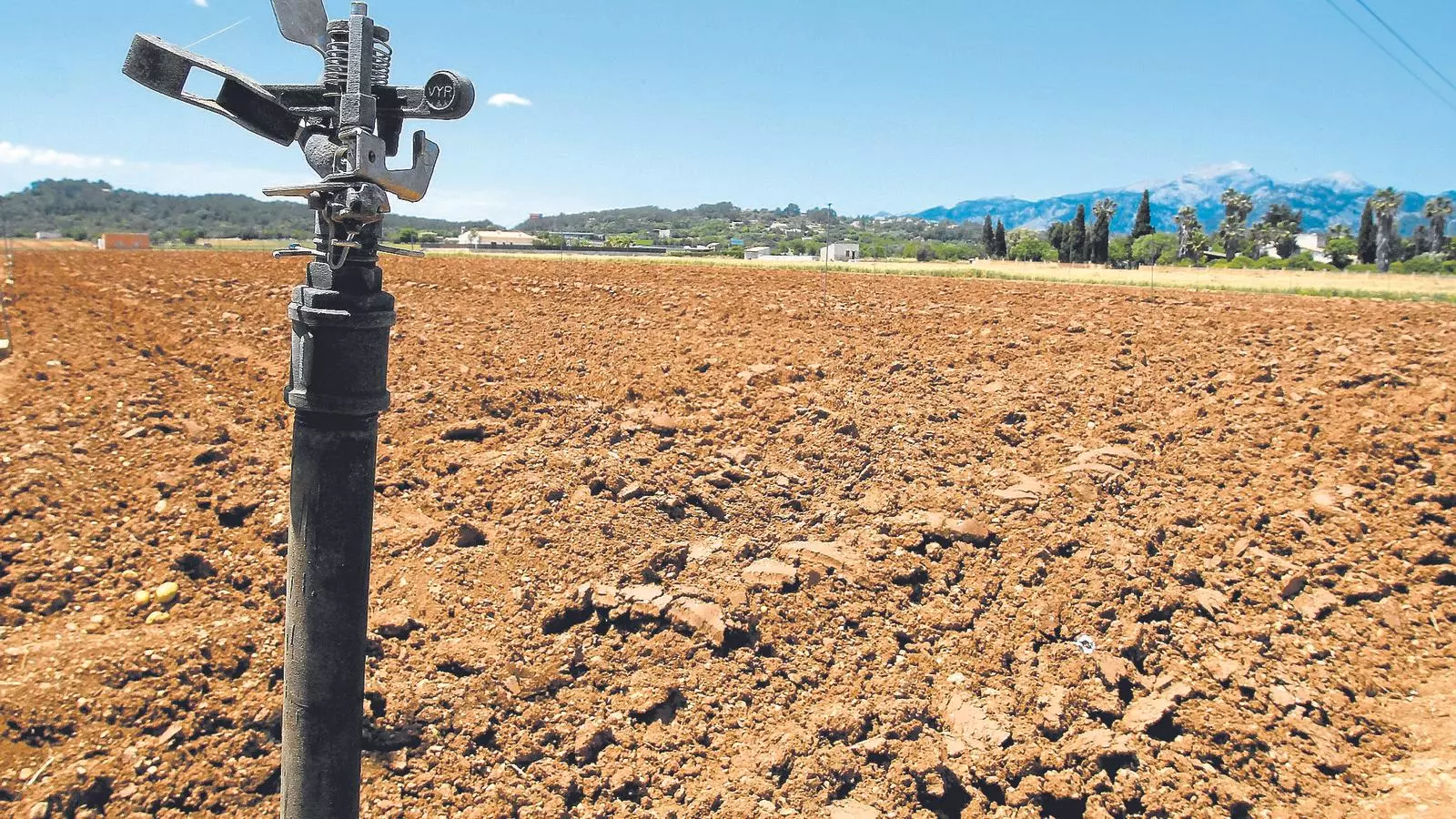 Una explotació agrícola de sa Pobla.