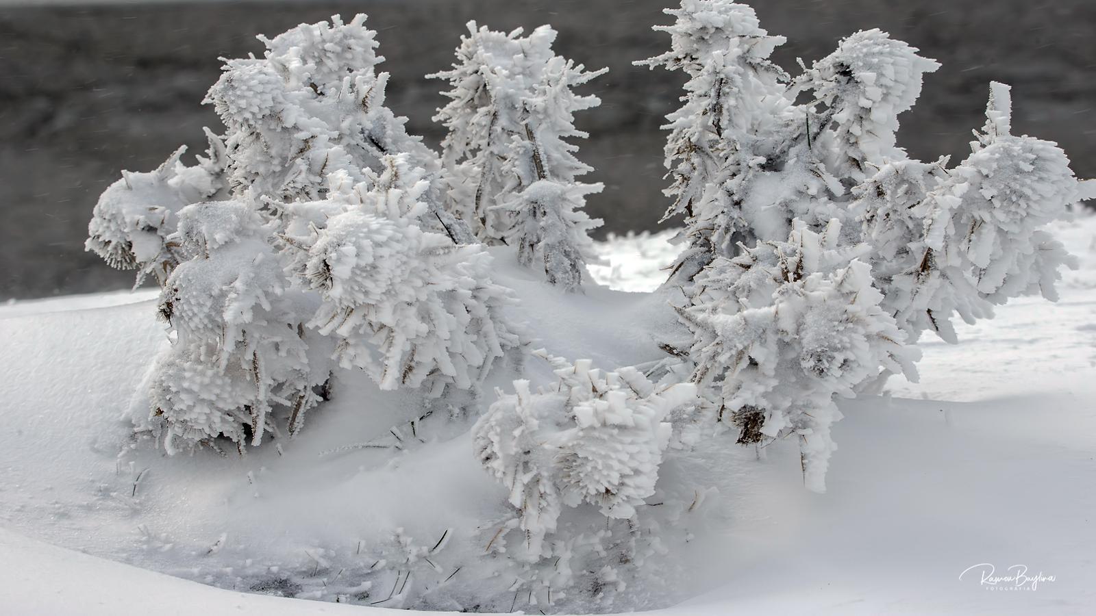 Neu hoy en los valles de Àneu