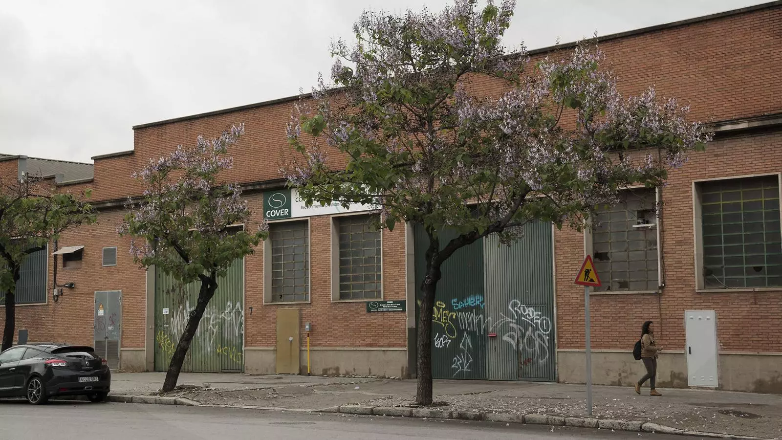 A Barcelona s’han plantat 200 paulònies, entre les quals aquestes dues al carrer Santander.