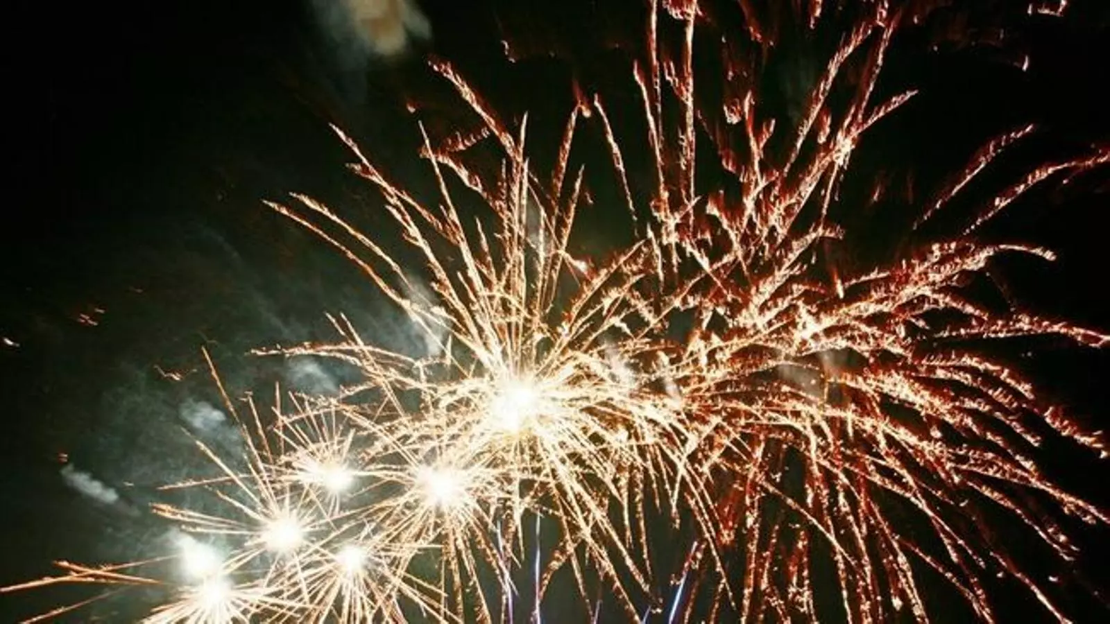 Els focs artificials sonors repercuteixen sobre la salut humana i dels animals.