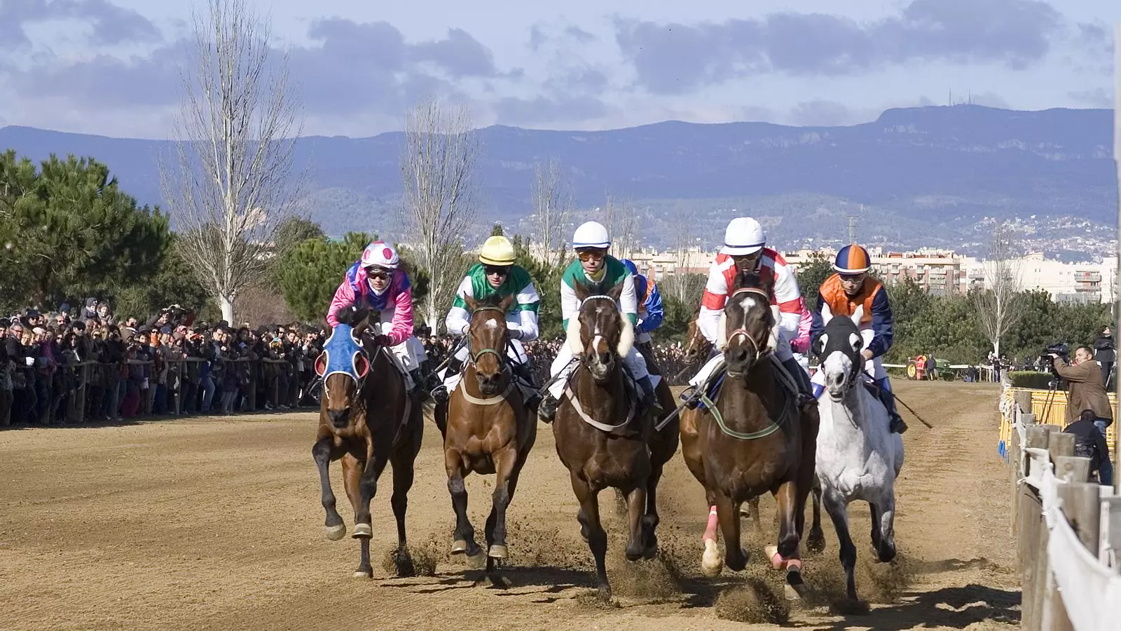 El Cós de Sant Antoni és una competició de cavalls en què es disputen tres curses al galop.