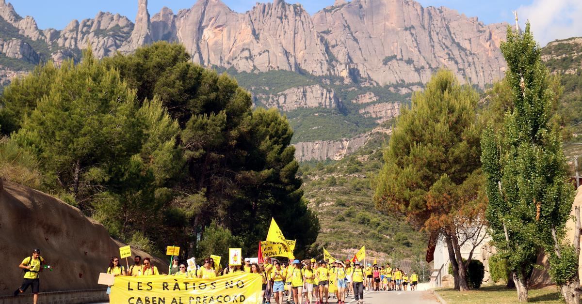 Un centenar de docents fan una marxa a peu fins a Montserrat per mostrar el seu rebuig al preacord d'Educació