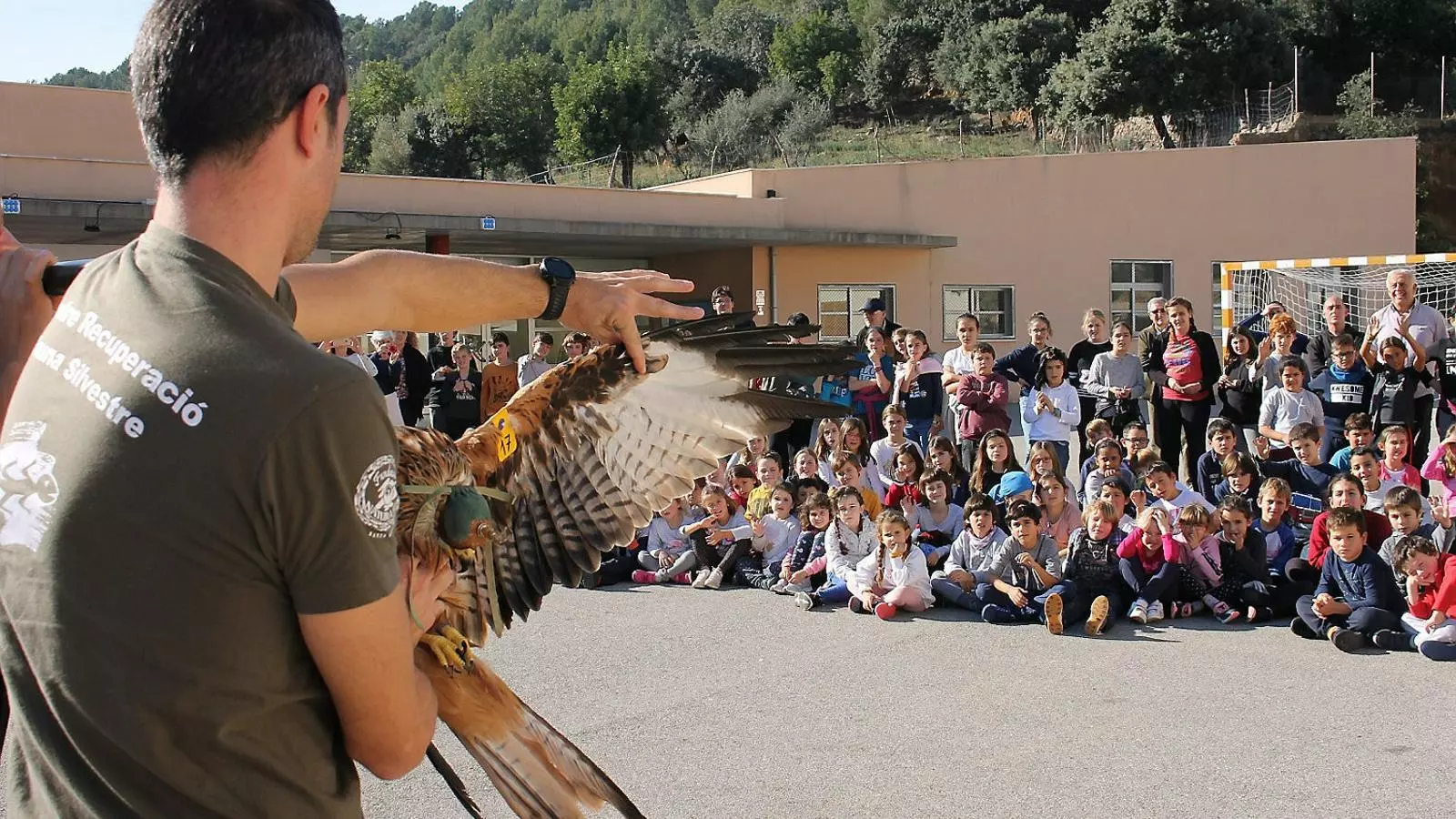Imatges de classes d’educació mediambiental i controls d’aus silvestres que s’han pogut recuperar