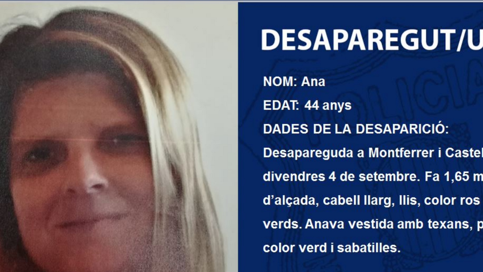 La dona desapareguda.