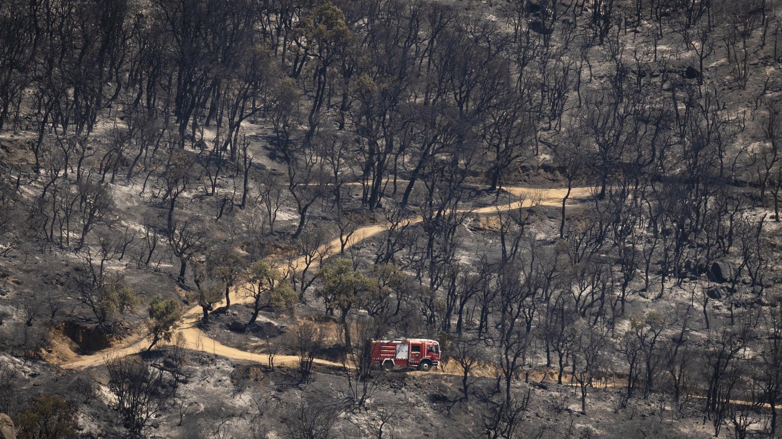 Vista del paisaje después del paso del fuego en Calonge