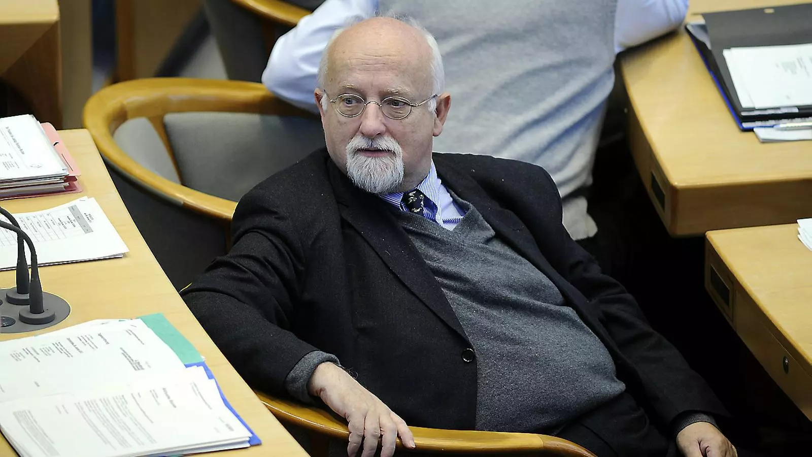 Von Grünberg i Catt: qui són els primers 'observadors' internacionals en declarar al Suprem?
