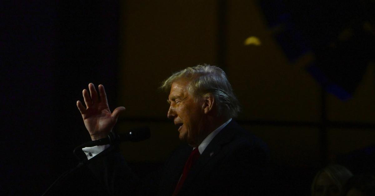 Who Can Check Trump’s Power? Exploring Accountability in Politics