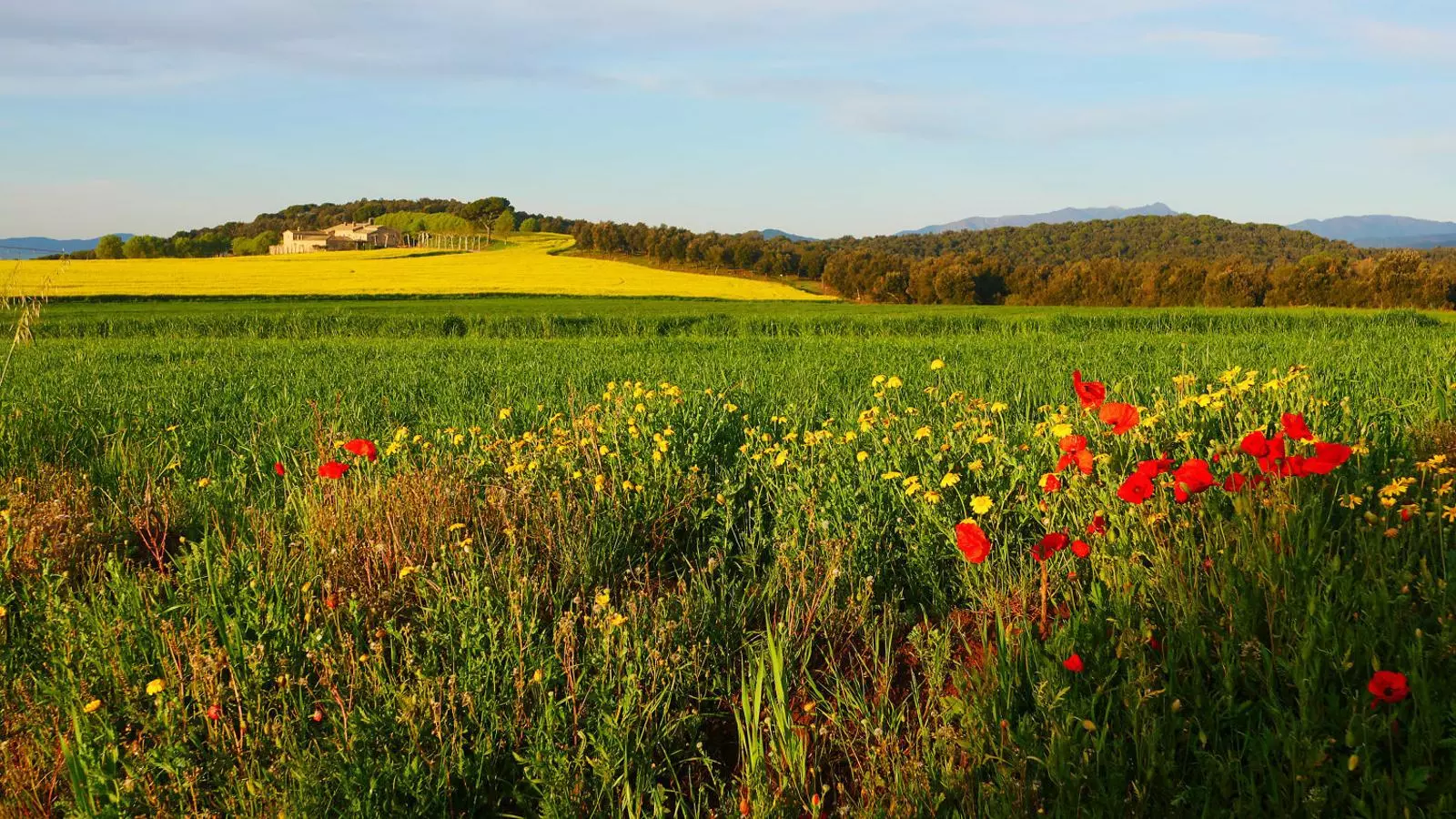 La zona del volcà de la Crossa,
A Bescanó, és una de les que es
Visitaran per veure flors.