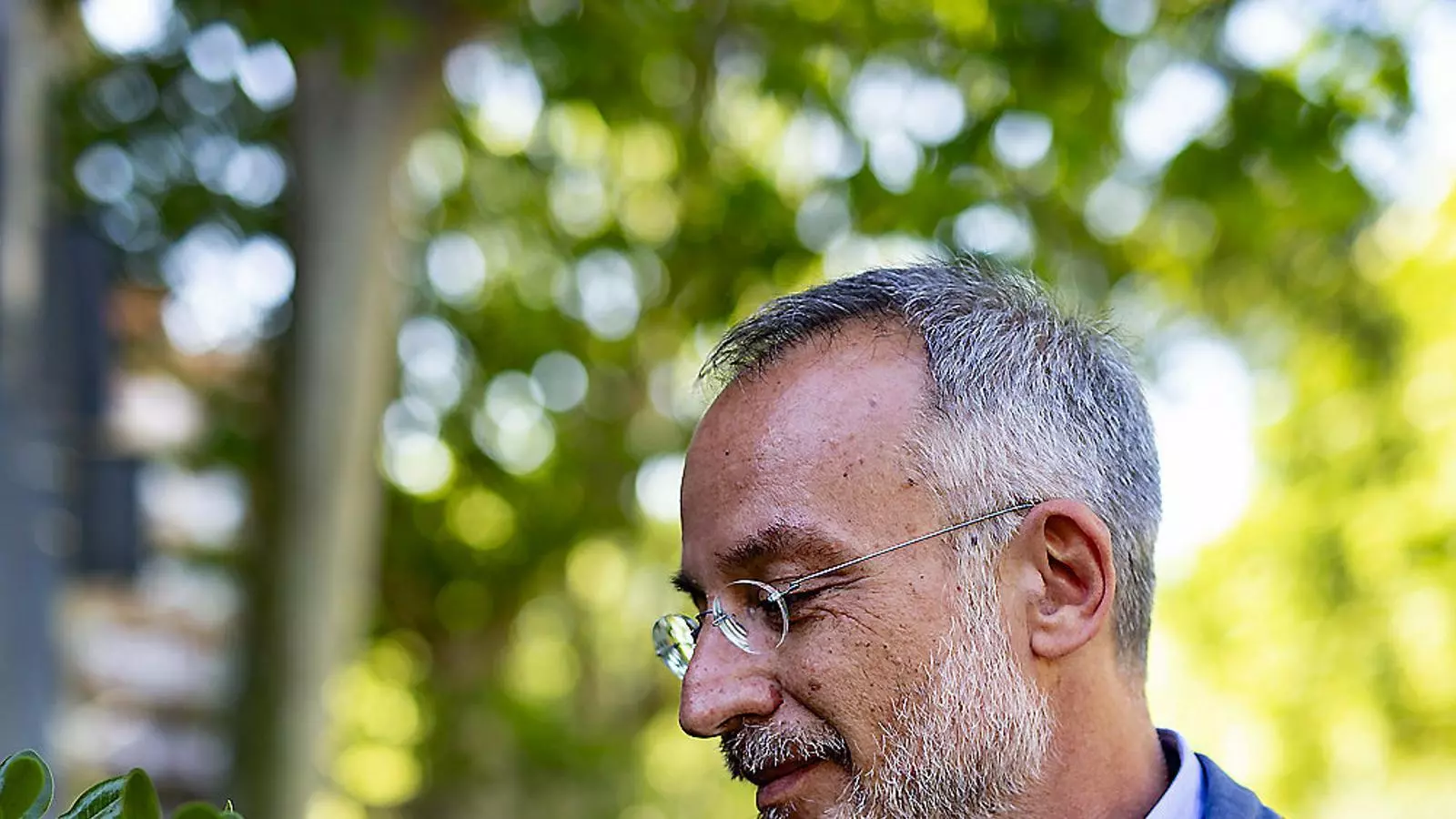 Stefano Mancuso al passeig de Sant Joan abans de la conferència El planeta de les plantes al Palau Macaya.