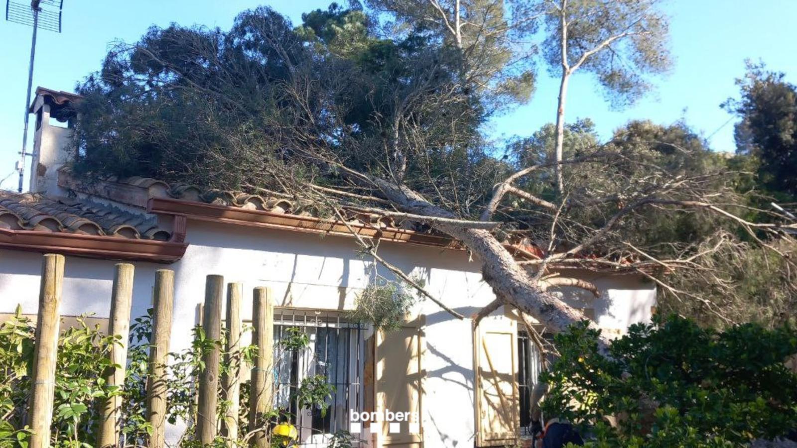 A tree fallen on a house in Begur.