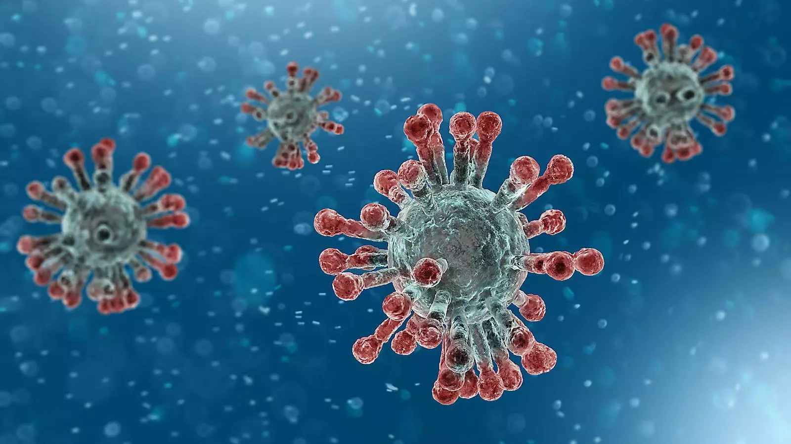Il·lustració del coronavirus a vista de microscopi.