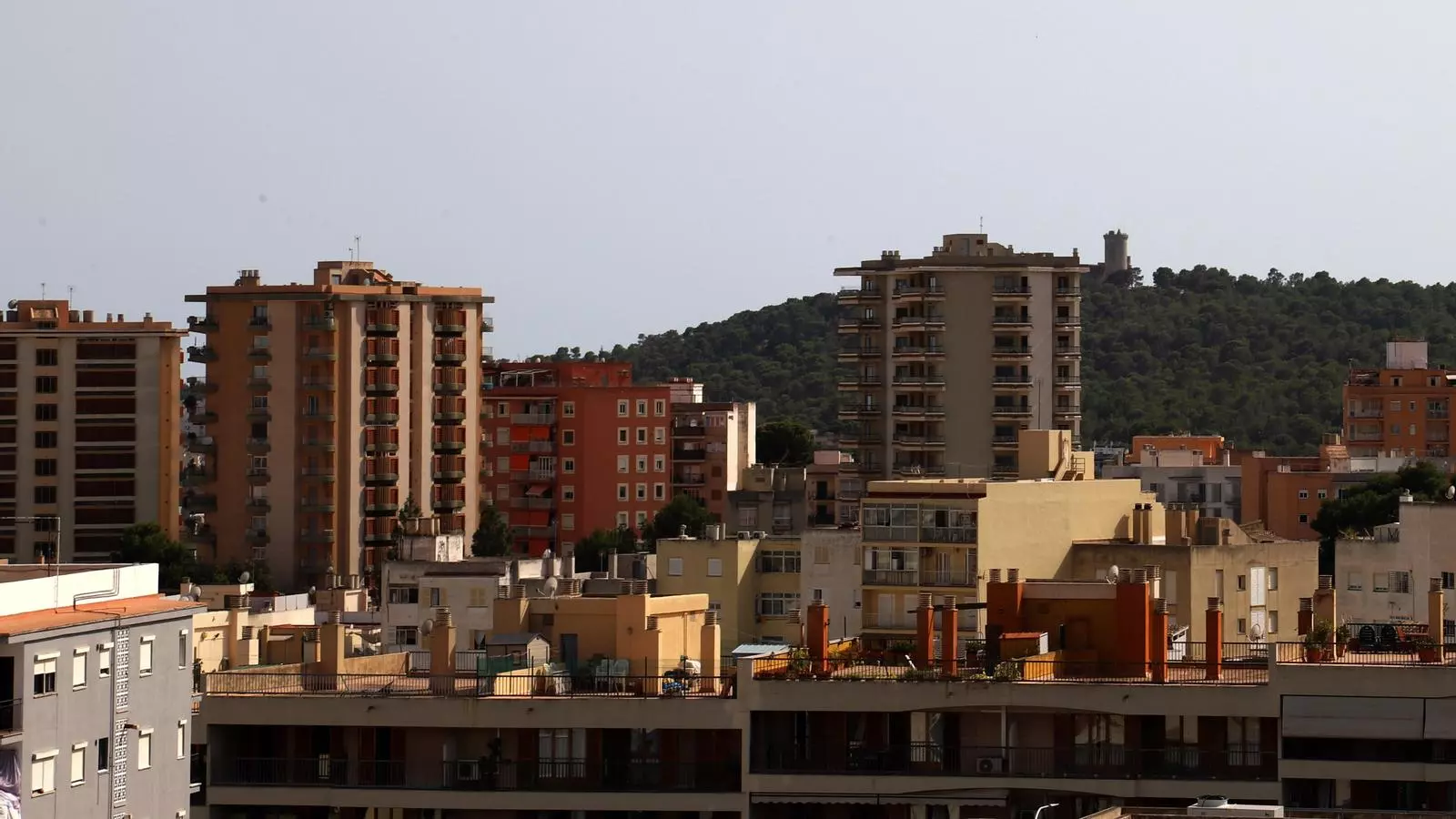 Vista general de Palma.