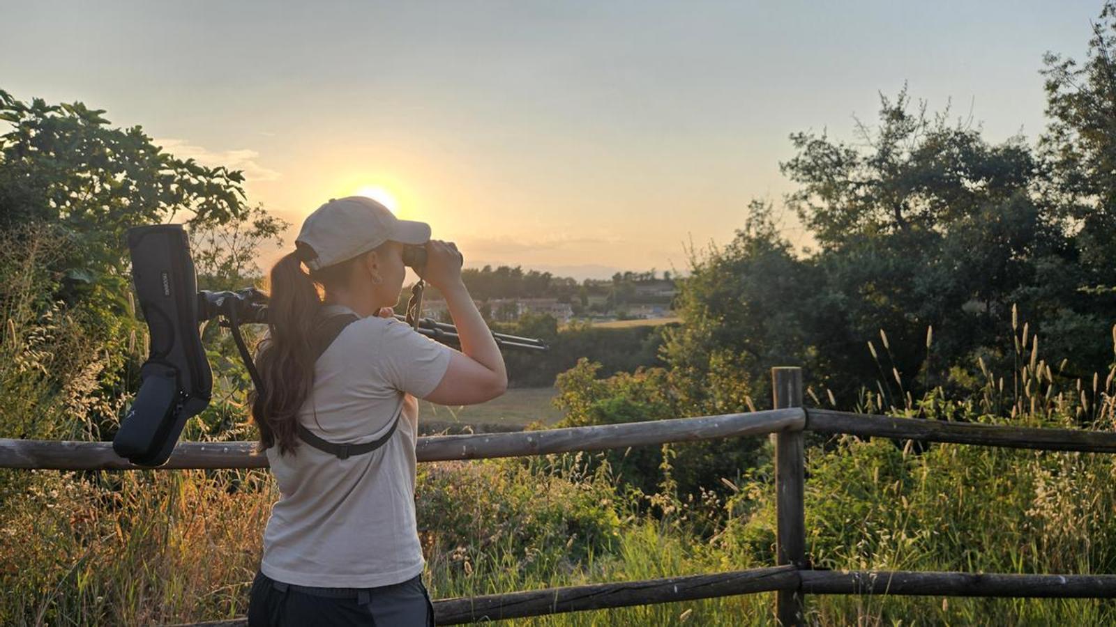 A woman observes birds