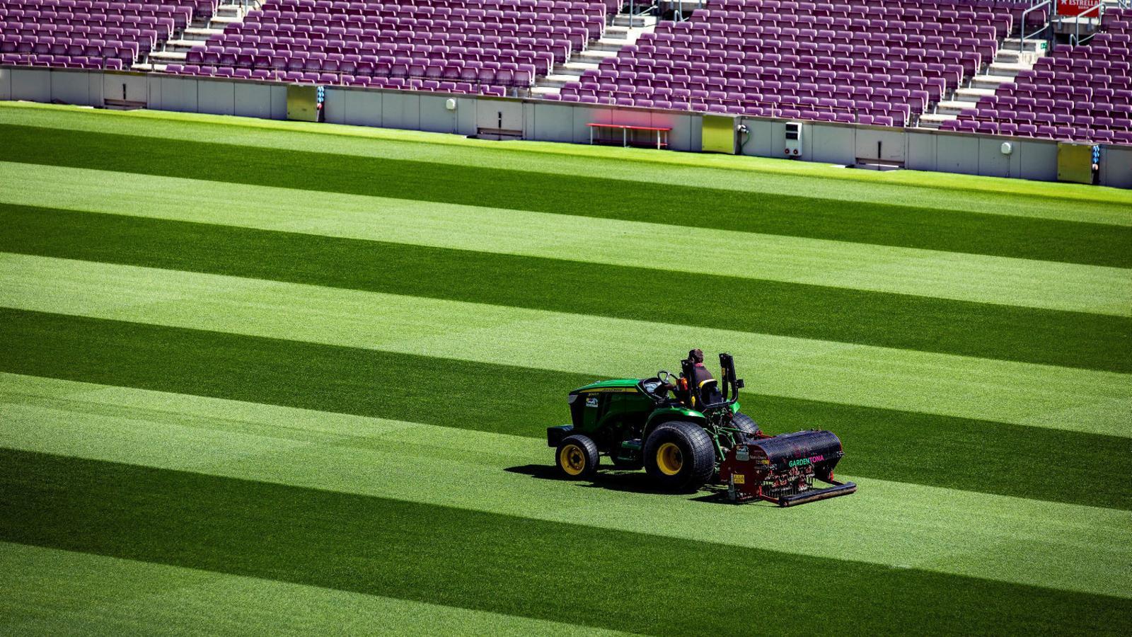 Cuidadors supervisant la gespa del Camp Nou, on fa temps que no es juga cap partit.