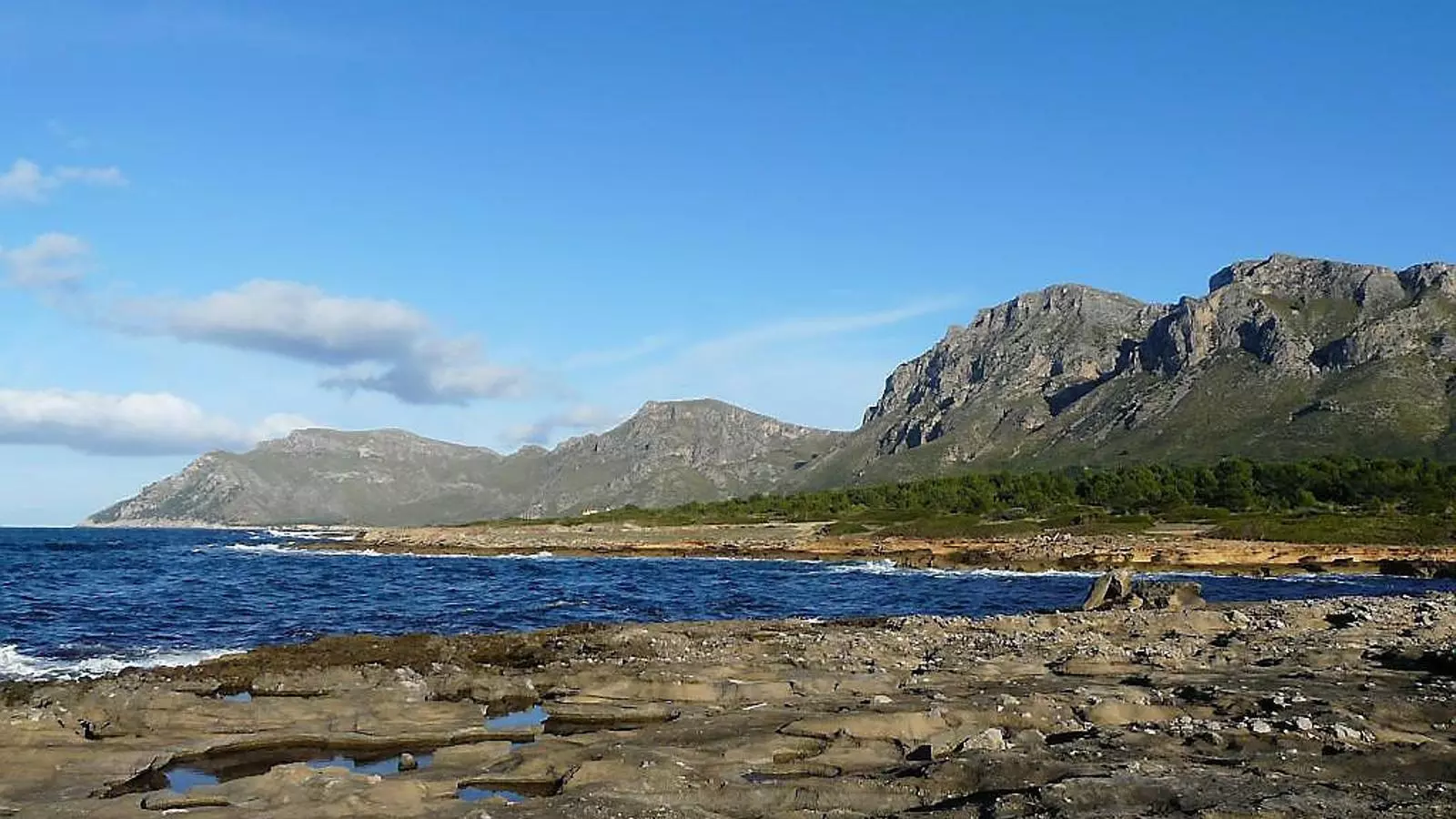 Llum verda a la compra de la finca Es Canons d’Artà