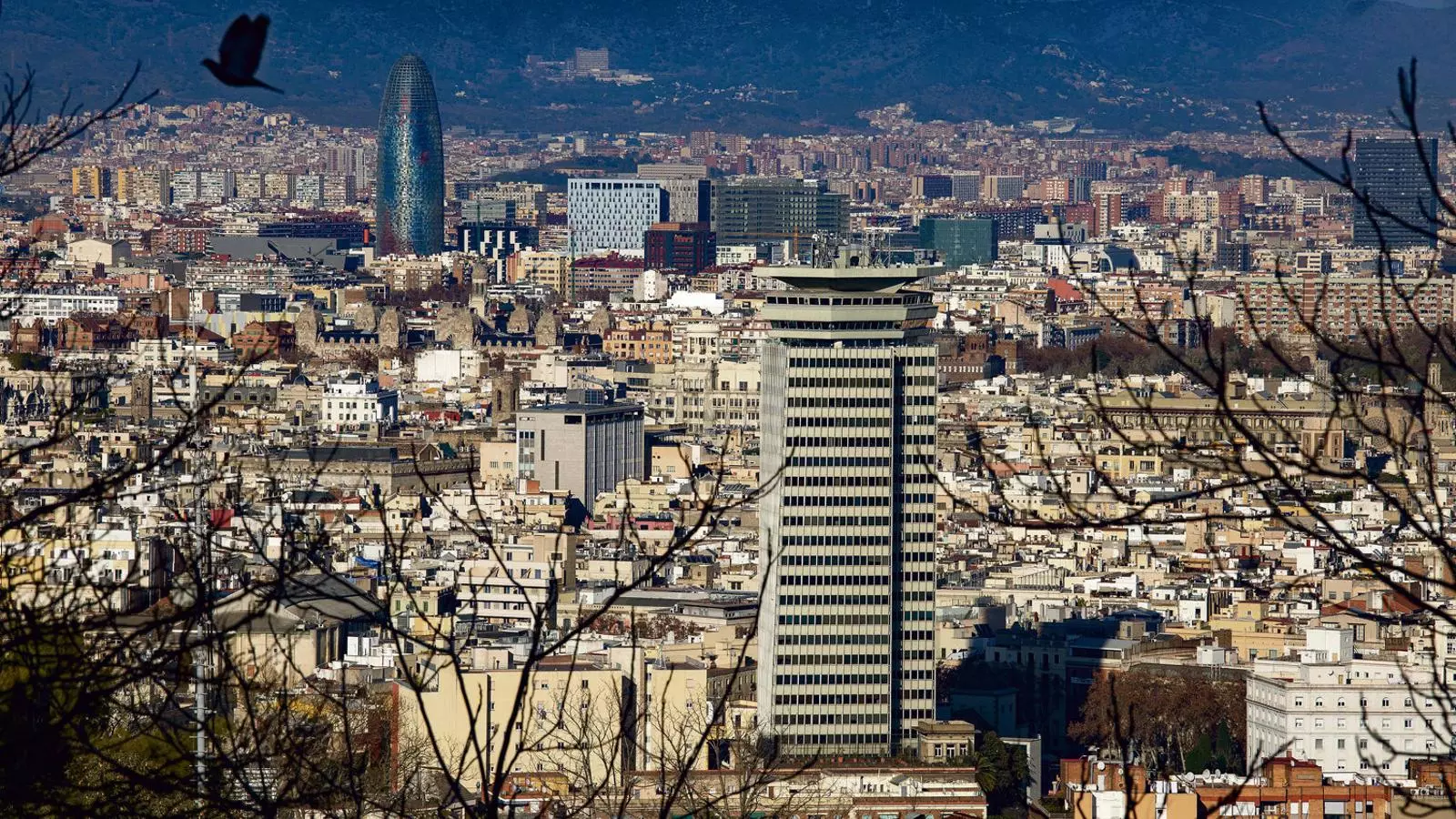 El primer semestre del 2018 es va notar una caiguda de l’activitat a Barcelona, però la compra de la seu de Planeta per Blackstone va ser el desllorigador.