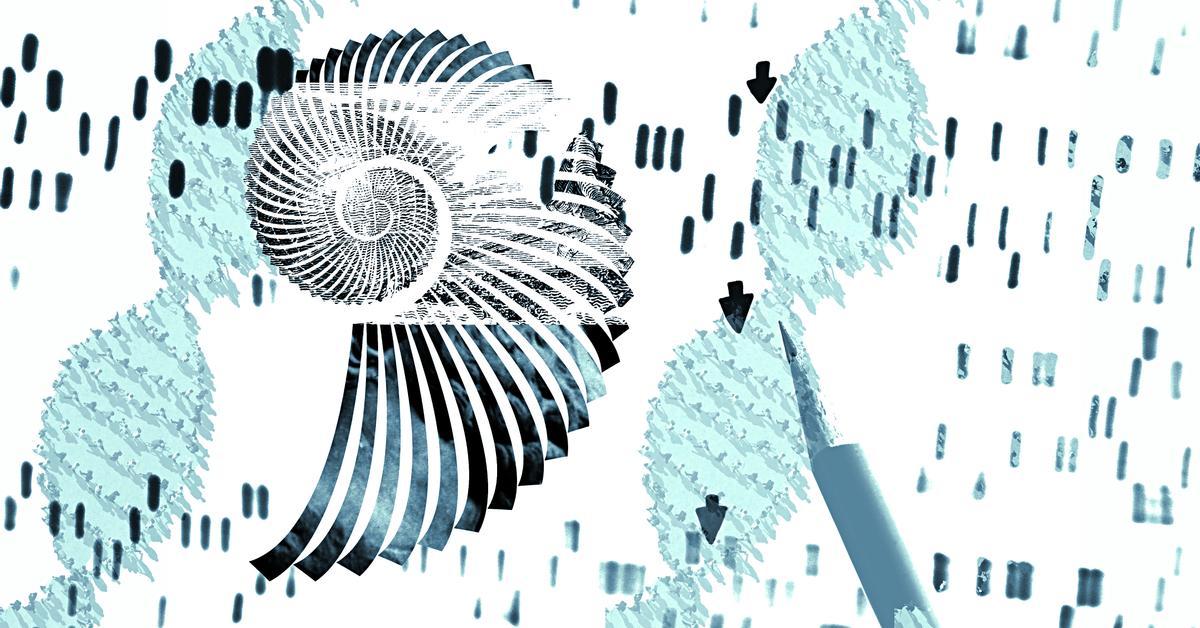 Buscadores de tresors genètics: quan trobar un gen era un viatge a cegues