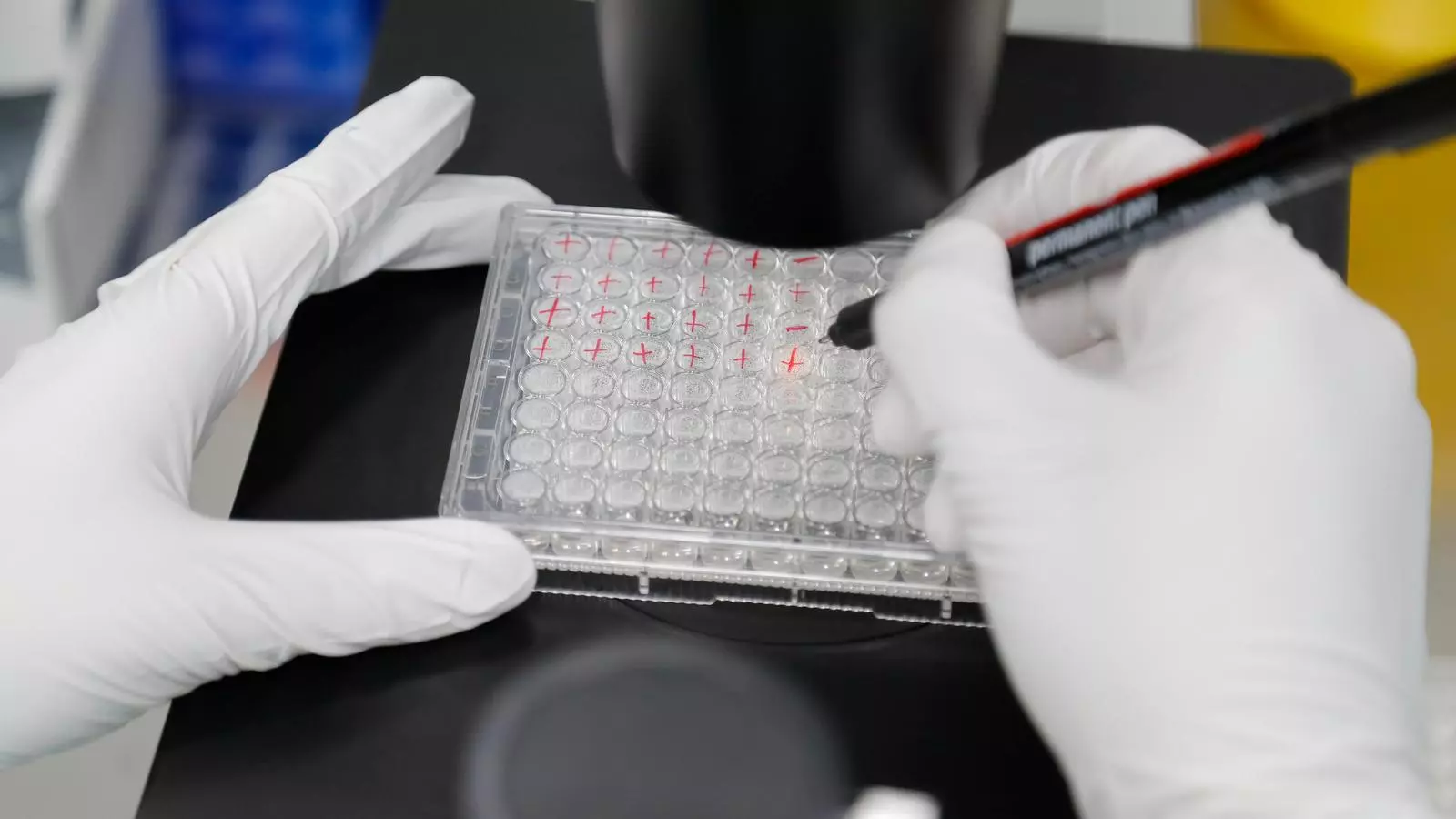 Treballs d'investigació en un laboratori rus que desenvolupa la seva pròpia vacuna contra el covid-19