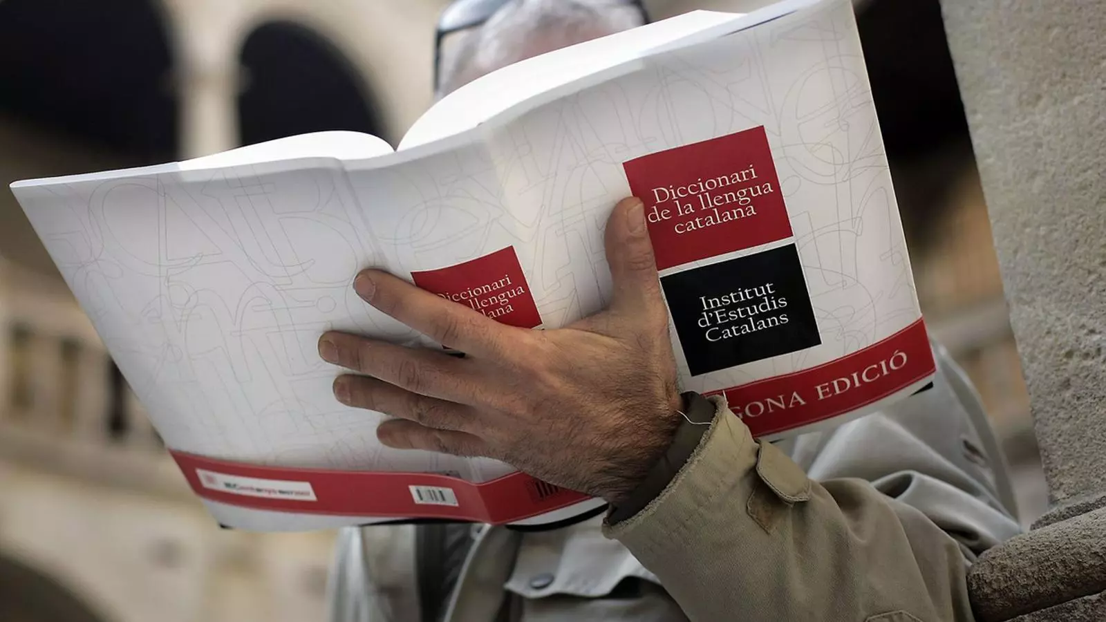 L’IEC manté al dia la normativa lèxica a través del DIEC2, que, a més d’una edició en paper, també en té una en línia que s’actualitza cada dos anys.