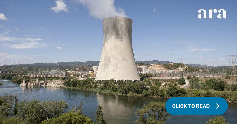 delosperma echinatum pickle plant Delosperma Echinatum main image 0