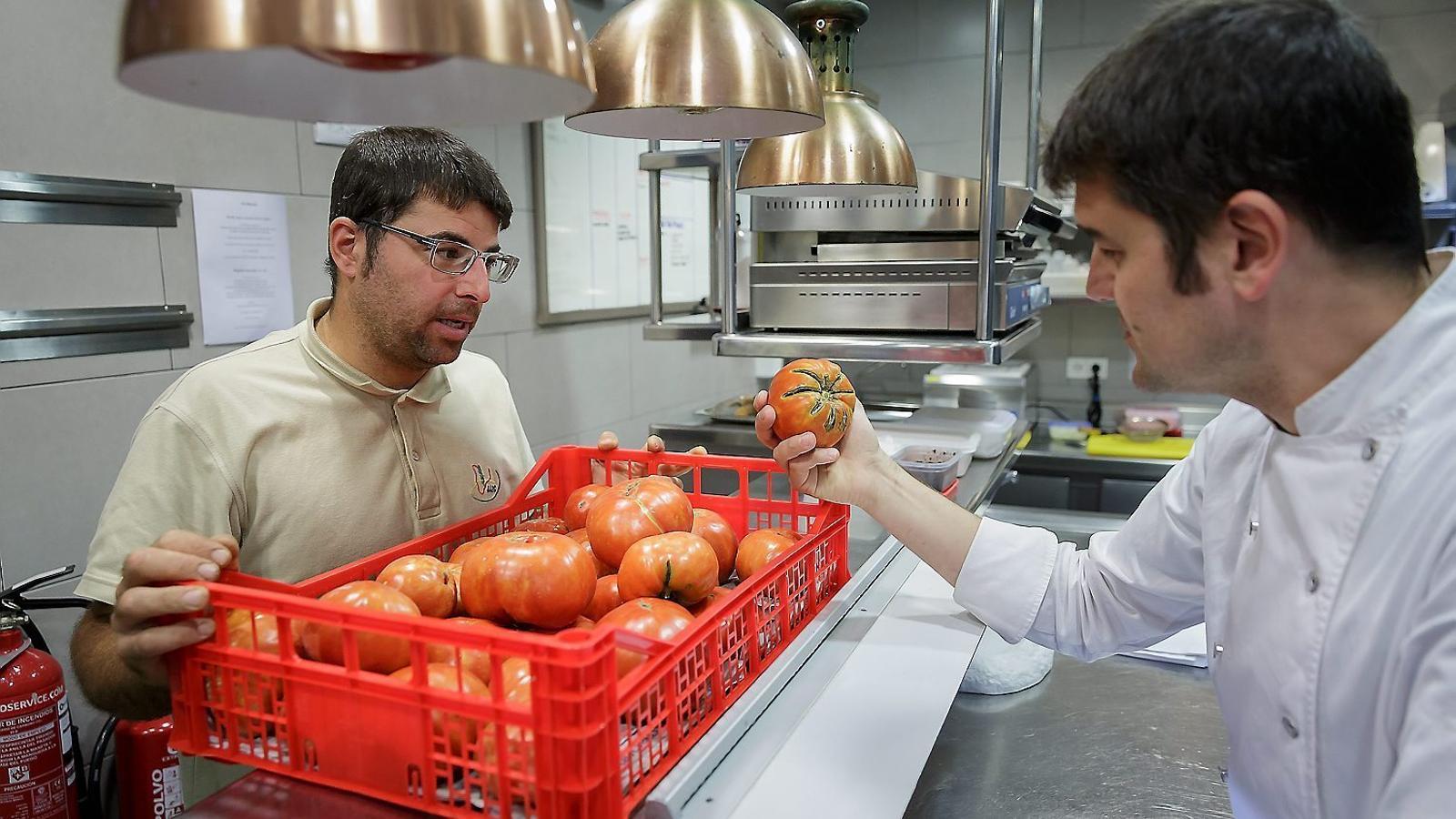 A causa de les altes temperatures la varietat de tomàquet de Pals està obtenint els millors fruits justament ara a l’octubre.